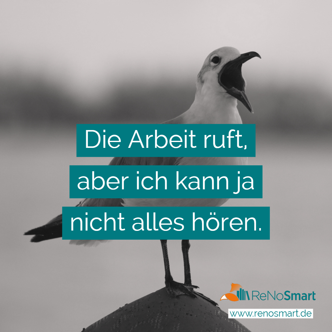 Die Arbeit ruft, aber ich kann ja nicht alles hören. Alles für ReNos