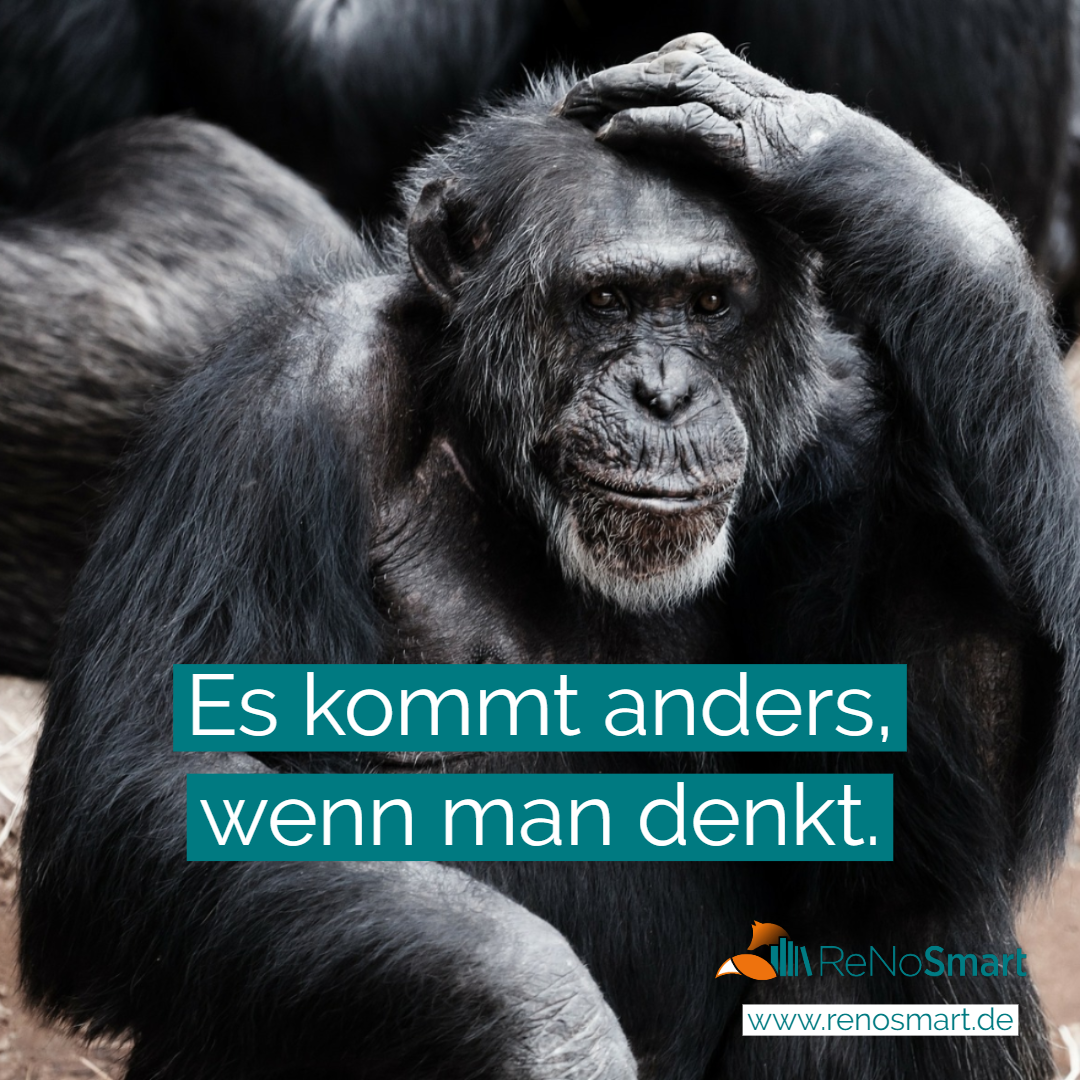 Es kommt anders, wenn man denkt. Alles für ReNos