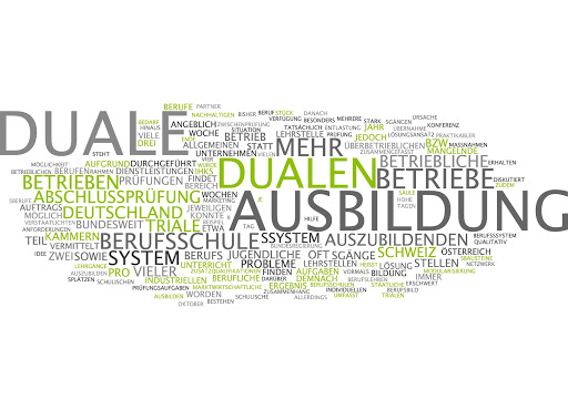 Danke für den Artikel von Herrn Christian Noe zum Thema Öffnung der Ausbildereigungsfähigkeit