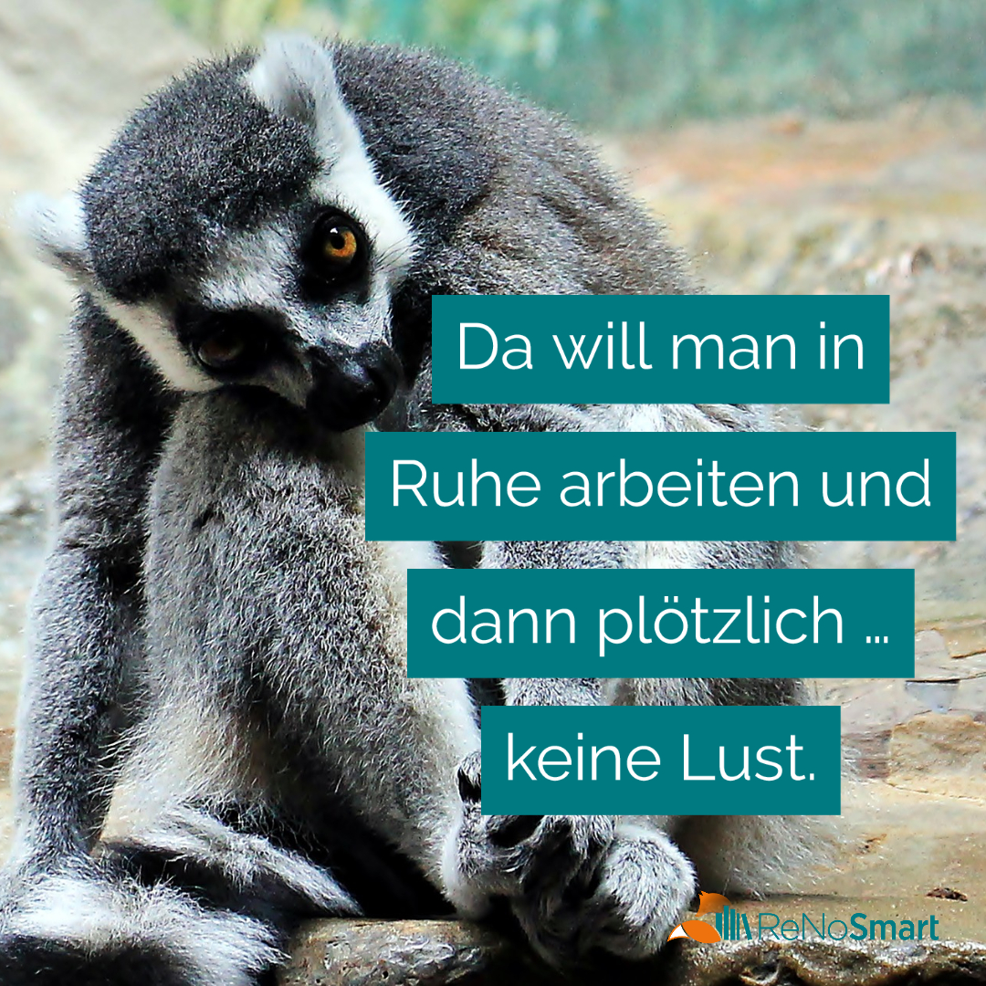 Keine Lust Auf Arbeit Lustige Bilder Lustige Sprüche