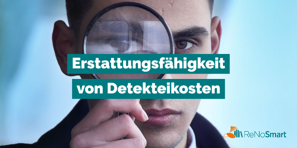 Erstattungsfähigkeit von Detekteikosten