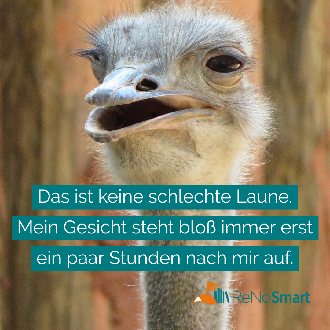 Das ist keine schlechte Laune. Mein Gesicht steht bloß Das ist keine schlechte Laune. Mein Gesicht steht bloß