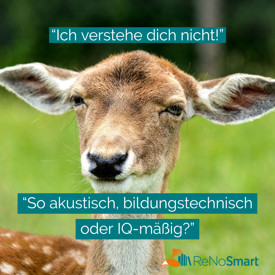 Ich verstehe dich nicht! So akustisch, bildungstechnisch oder IQmäßig Alles für ReNos