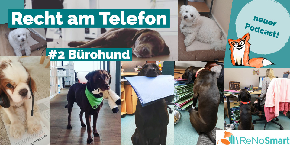 „Recht am Telefon“: #2 Bürohund