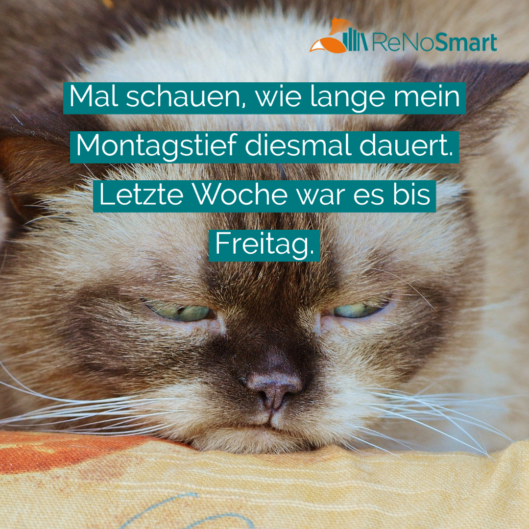 Mal schauen, wie lange mein Montagstief diesmal dauert. Letzte Woche war es bis Freitag. Alles